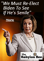 ''This is why it's so important to re-elect him,'' Pelosi said in a televised interview. ''As concerned as we may be about President Biden's cognitive health, the only reasonable answer is to keep him in office and really find out just how mentally defective he has become. It's the only way.''